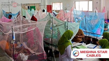 ডেঙ্গুতে আরও ২১ জনের মৃত্যু, হাসপাতালে ভর্তি ১০২৬৩