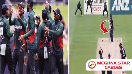 এই প্রথম ‘ডাবল সেঞ্চুরি’ দেখল ওয়ানডে ক্রিকেট