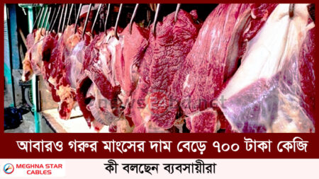 আবারও গরুর মাংসের দাম বেড়ে ৭০০ টাকা কেজি, কী বলছেন ব্যবসায়ীরা