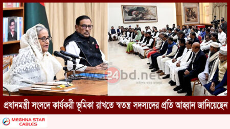 প্রধানমন্ত্রী সংসদে কার্যকরী ভূমিকা রাখতে স্বতন্ত্র সদস্যদের প্রতি আহ্বান জানিয়েছেন