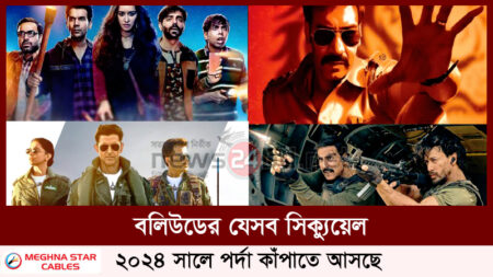 বলিউডের যেসব সিক্যুয়েল ২০২৪ সালে পর্দা কাঁপাতে আসছে
