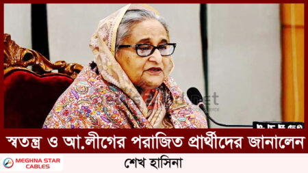 স্বতন্ত্র ও আ.লীগের পরাজিত প্রার্থীদের জানালেন শেখ হাসিনা