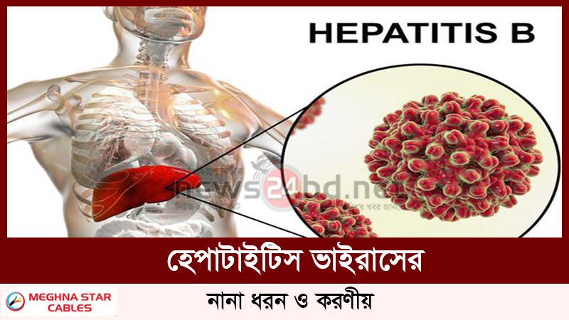 হেপাটাইটিস ভাইরাসের নানা ধরন ও করণীয়