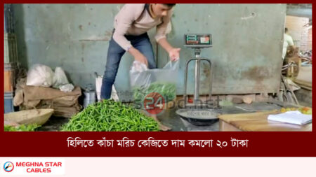 হিলিতে কাঁচা মরিচ কেজিতে দাম কমলো ২০ টাকা