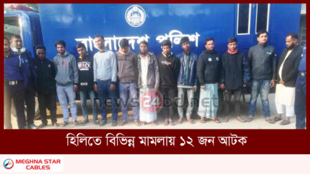 হিলিতে বিভিন্ন মামলায় ১২ জন আটক