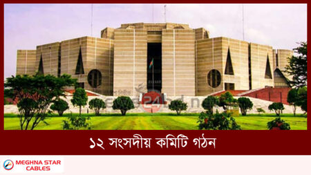 ১২ সংসদীয় কমিটি গঠন