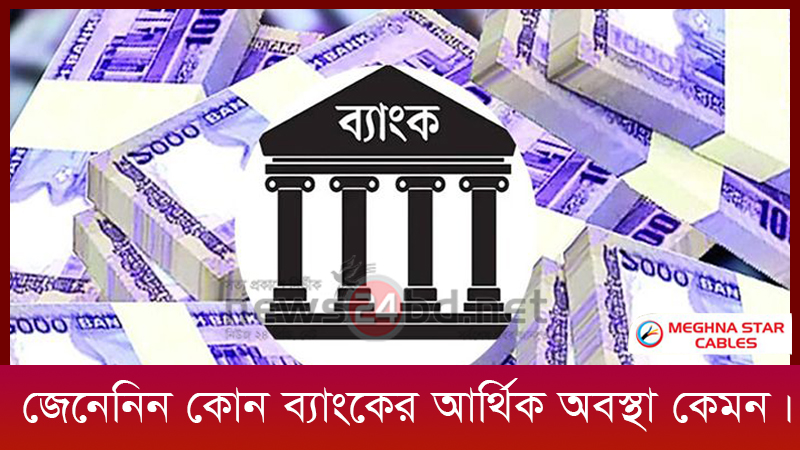 জেনেনিন কোন ব্যাংকের আর্থিক অবস্থা কেমন।
