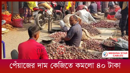 পেঁয়াজের দাম কেজিতে কমলো ৪০ টাকা