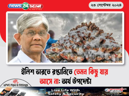 ইলিশ ভারতে রপ্তানিতে তেমন কিছু যায় আসে না: অর্থ উপদেষ্টা