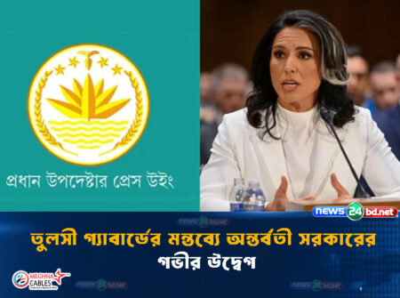 তুলসী গ্যাবার্ডের মন্তব্যে অন্তর্বর্তী সরকারের গভীর উদ্বেগ
