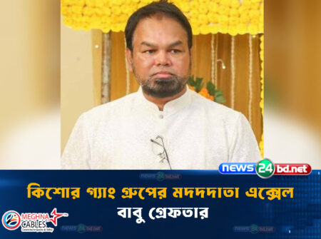 কিশোর গ্যাং গ্রুপের মদদদাতা এক্সেল বাবু গ্রেফতার