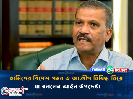 হামিদের বিদেশ গমন ও আ.লীগ নিষিদ্ধ নিয়ে যা বললেন আইন উপদেষ্টা