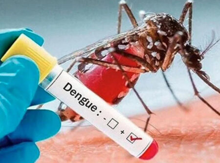 এবছরের ডেঙ্গুতে সর্বোচ্চ মৃত্যু পাঁচ