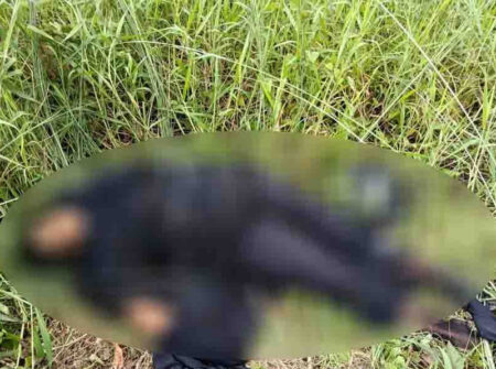 ছোট ভাইয়ের স্ত্রীকে হত্যার পর থানায় ভাসুরের আত্মসমর্পণ