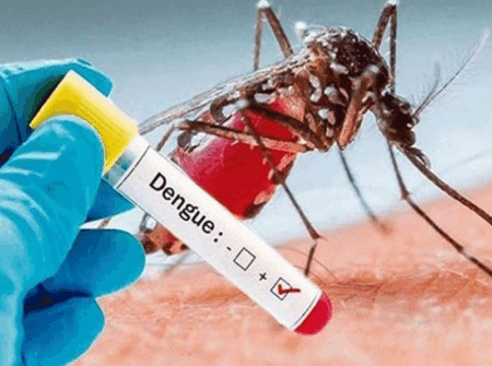 ডেঙ্গুতে আরও ৬ জনের মৃত্যু, নতুন আক্রান্ত ৯৮৩