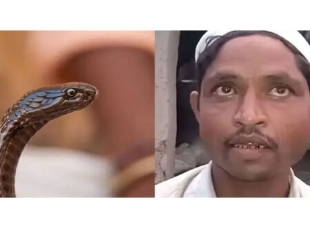 রাতে সাপ হয়ে কামড়াতে যান স্ত্রী, অভিযোগ স্বামীর