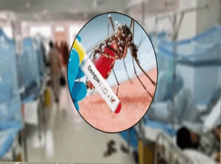 ডেঙ্গুতে আক্রান্ত ৭০ হাজার ছাড়াল