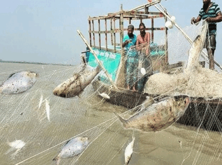 আজ থেকে জাটকা ধরায় ৮ মাসের নিষেধাজ্ঞা
