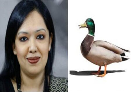 রুমিন ফারহানা পেলেন হাঁস প্রতীক