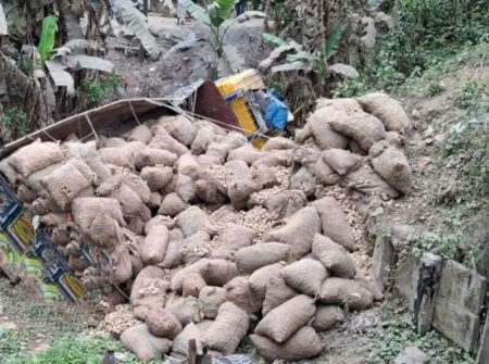 রাজবাড়ী কামালদিয়ায় আলুভর্তি ট্রাক উল্টে চালক নিহত