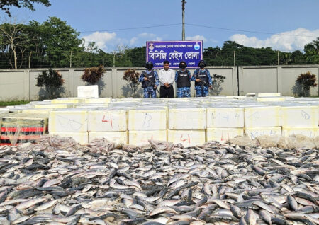 কোস্ট গার্ডের অভিযানে কোটি টাকার সামুদ্রিক ইলিশ উদ্ধার