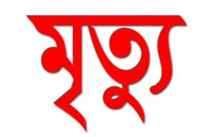 সিদ্ধিরগঞ্জে ফার্নিচারের নিচে চাপা পড়ে শিশুর মৃত্যু